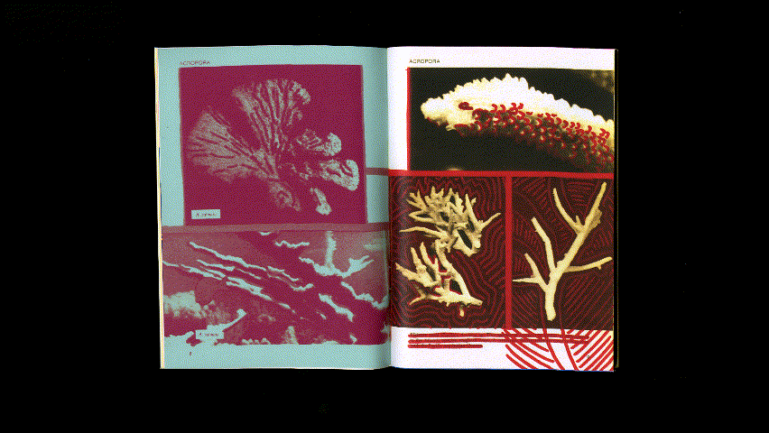 coralbook